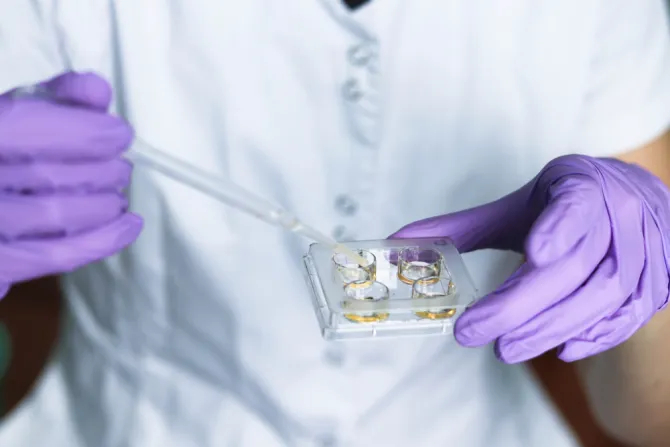 Трамп предлагает правительству оплачивать ЭКО; что говорят католики?