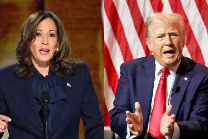 Харрис опережает Трампа среди избирателей-католиков, согласно опросу EWTN News/RealClear