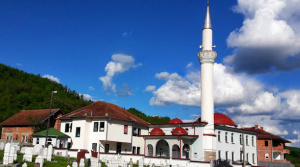 Dzamija Pozega