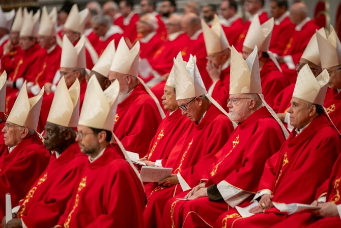 LIVE UPDATES: Немецкий кардинал предсказывает более длительный конклав, чем выборы Папы Франциска в 2013 году