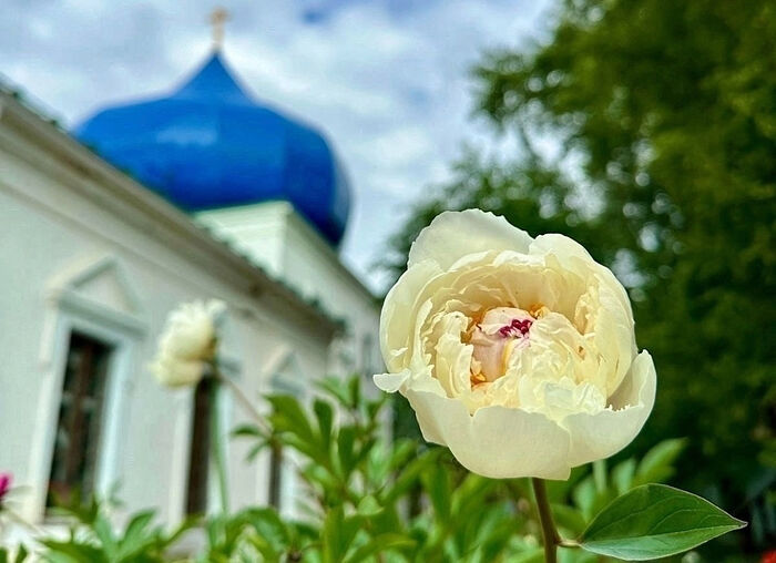 Прихожане Русской Православной Церкви участвуют в акции "Зелёная волна"