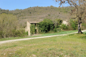 Abbazia di San Nicolò Montis Orbetani