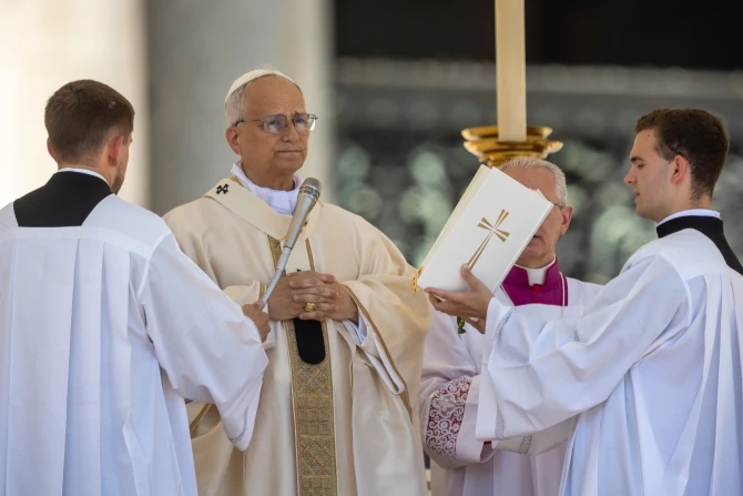 ПОЛНЫЙ ТЕКСТ: Гомилия Папы Льва XIV, посвященная юбилею семьи, детей, бабушек и дедушек и пожилых людей