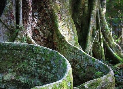 Страстная седмица: суеверия и нелепые приметы. Часть II