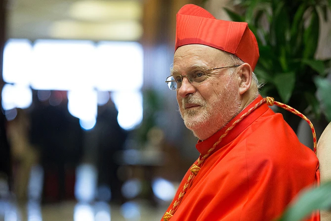 Шведский кардинал размышляет о конклаве и говорит, что "благодарен" Папе Льву XIV