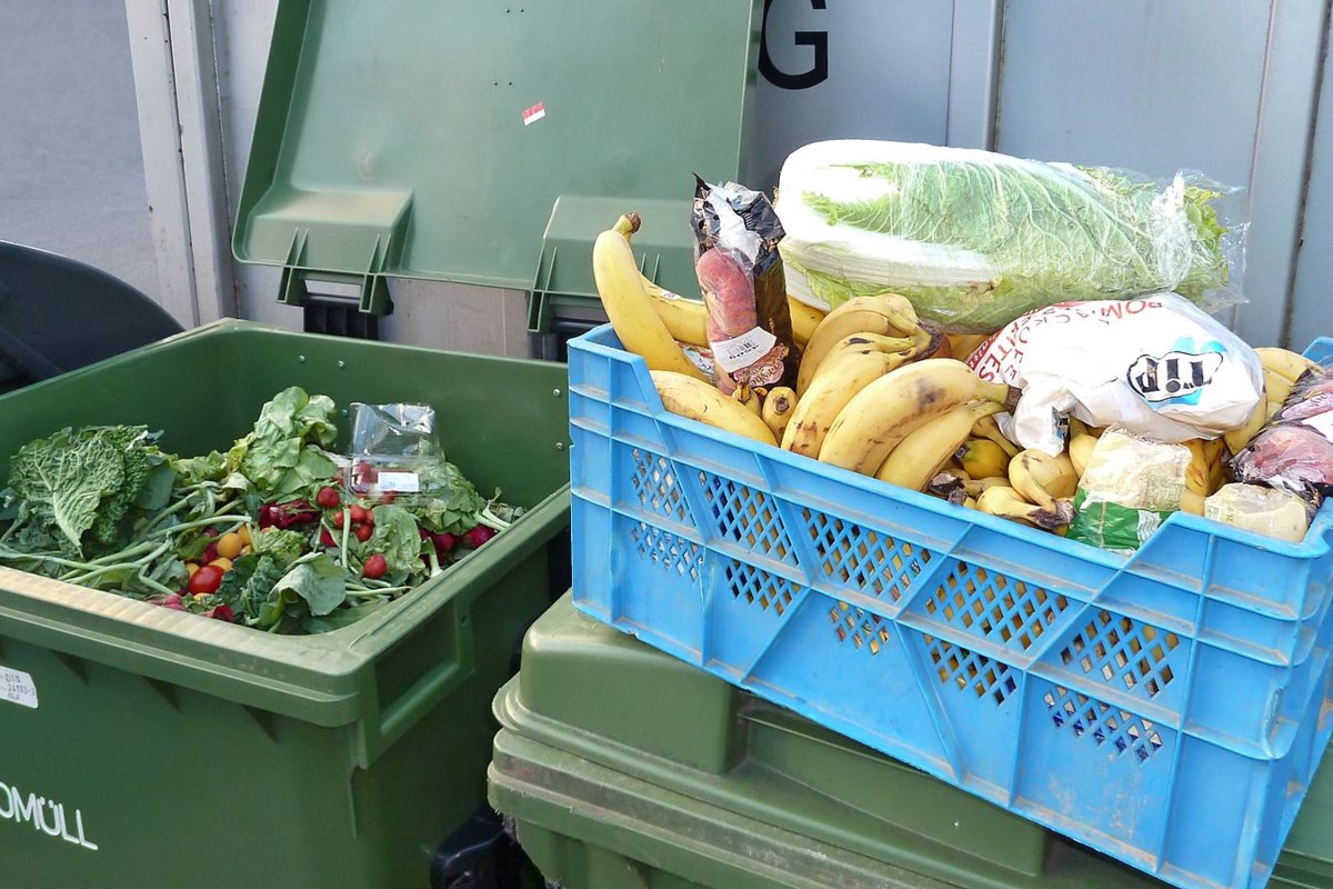 Допустимо ли выбрасывать еду? Или это грех?