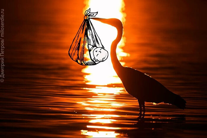 Священный Синод установил день особой молитвы о вразумлении имеющих намерение совершить убиение младенца во утробе