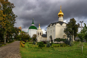 Church of the Origin of the Honored Arms of the Holy Cross - The All-Merciful Savior at the Forestry Institute