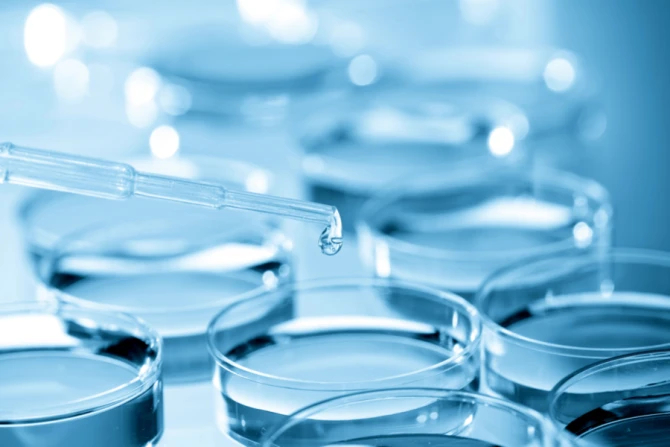 Католический биоэтик высказывает свое мнение о научных попытках создать жизнь с нуля