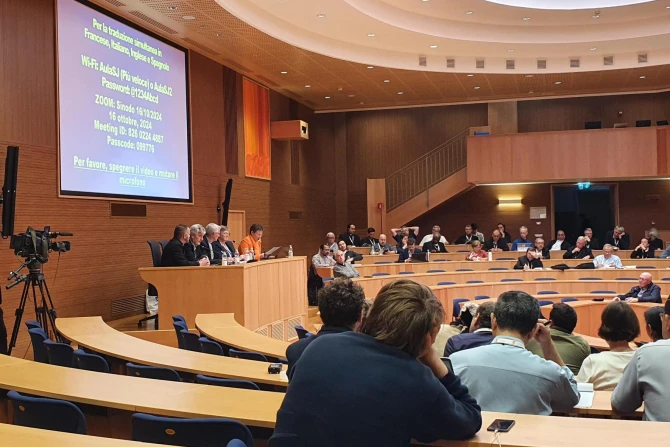 Почему Синод по вопросам синодальности провел дополнительные богословские встречи в 2024 году?