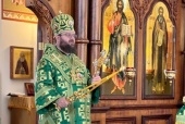 Патриарший экзарх Африки возглавил престольные торжества Сергиевского кафедрального собора Южно-Африканской епархии