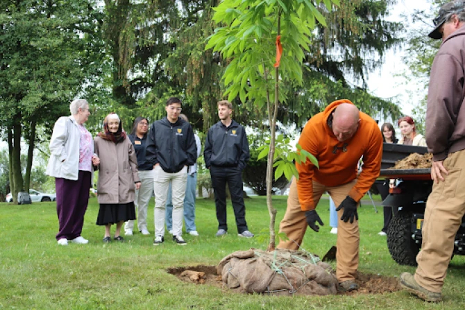 Центр памяти о Холокосте, основанный католическими монахинями, посадил дерево Анны Франк