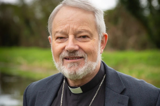 Ирландский епископ назначен пастырем двух епархий