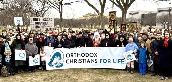 Ежегодные «Марши за жизнь» прошли в Вашингтоне и Сан-Франциско