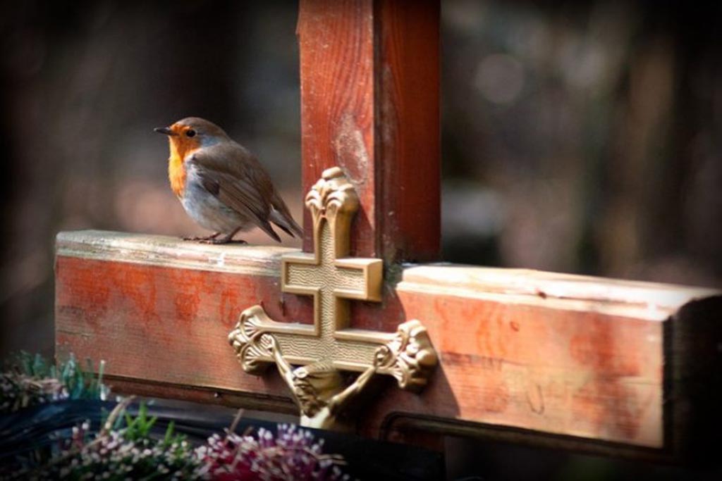 Радоница: чему радуются в поминальный день?