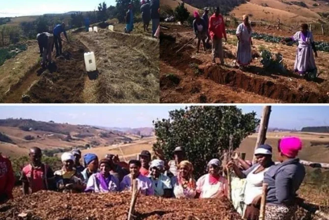 Епископы в Южной Африке призывают к расовому исцелению, когда Трамп осуждает земельную политику страны