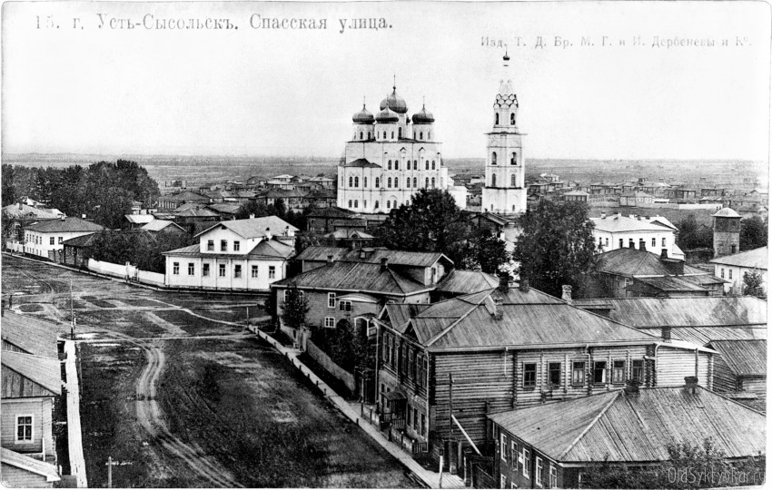 Вид на город и Стефановский собор с пожарной каланчи. Открытка