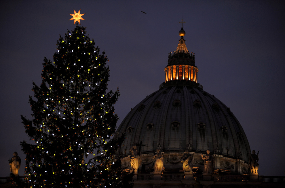 Огни на главной рождественской ели Ватикана будут гореть с 10 декабря по 11 января