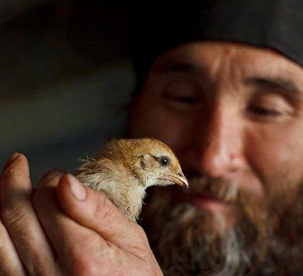 Pokrovsky Skete nella pianura alluvionale Volgo-Akhtubinskaya diventerà un rifugio per gli uccelli
