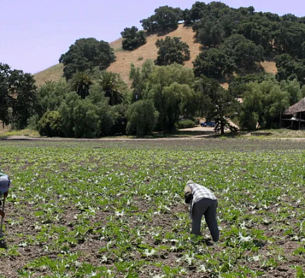 U.S. Catholic bishops on Labor Day: Honor ‘human dignity of all who labor’
