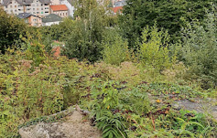 Groblje Jasik - Podovi
