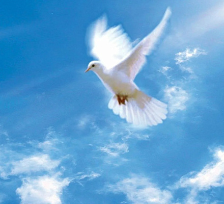 24 июня – понедельник Святого Духа