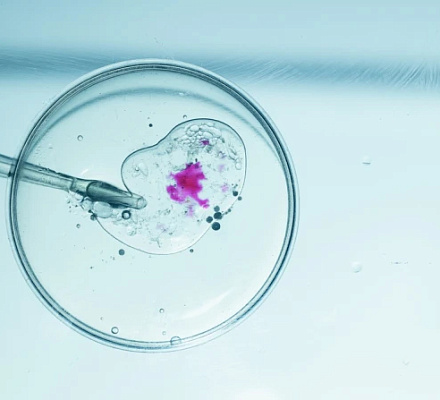 U.S. bishops urge ‘ethical alternatives’ to IVF following Trump executive order