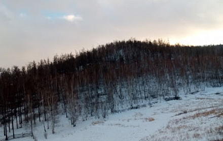 Реальность