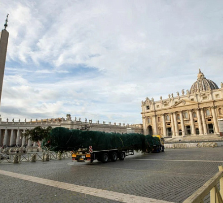 El árbol de Navidad del Vaticano, envuelto en polémica por objeciones medioambientales