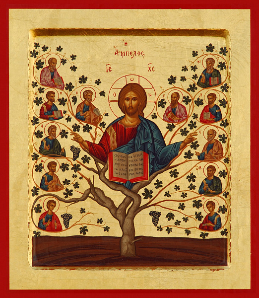 «Лоза Истинная»