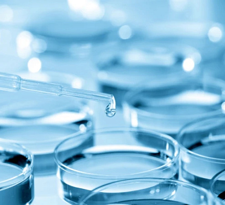 Catholic bioethicist weighs in on scientific effort to create life from scratch