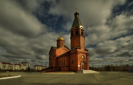 Всех скорбящих Радость