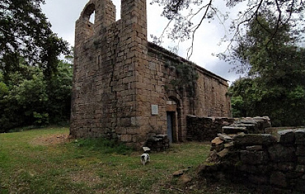 Sant Feliu de Carbonils