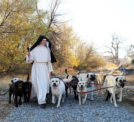The California nuns who raise dogs, make cheese, and pray always