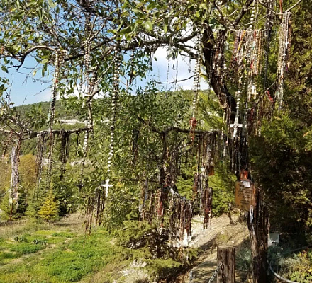 Miércoles rojo en el país de los mártires