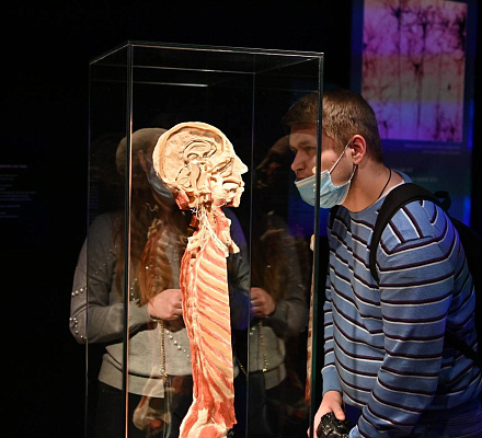 Activistas ortodoxos apelan a las autoridades por controvertida exhibición