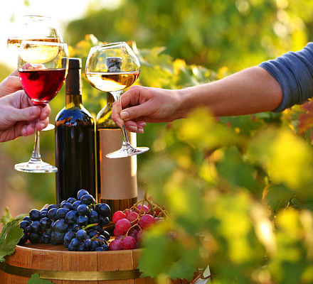 Vino i pijenje vina u Svetom pismu