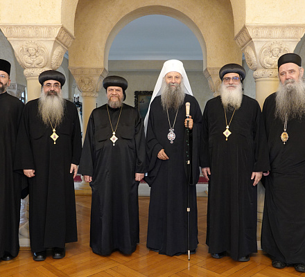 Патриарх Порфирий встретился с делегацией Коптской Церкви