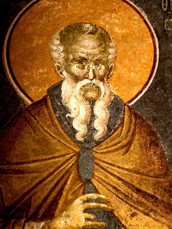 Преподобный Феодосий Великий, киновиарх 