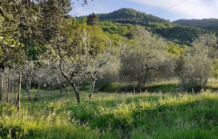 Chiesa di San Pietro a Terreno