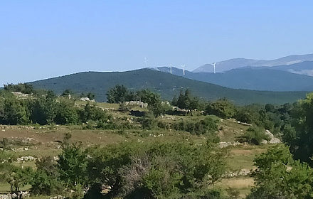 MUSINAC