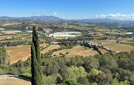 Església de Sant Pere del Castell de Subirats