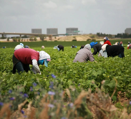 La Campaña Católica para el Desarrollo Humano gastó 11,4 millones por encima de su presupuesto