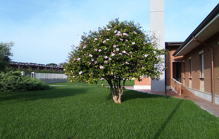 Chiesa di Gesù Cristo dei Santi degli Ultimi Giorni