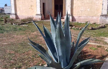 Cappella del Vero sangue di Gesù