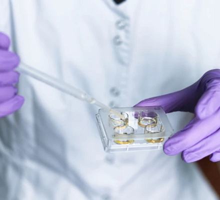 New U.S. embryo screening firm raises specter of ‘designer babies’