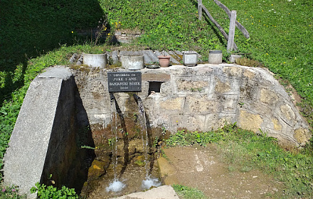 Sveti Roko