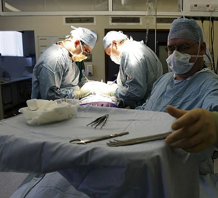 ¿Pueden los católicos donar sus órganos? Esto es lo que dice la Iglesia