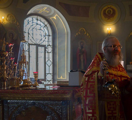 Il metropolita di Ryazan ha invitato i cittadini a celebrare il nuovo anno al Cremlino