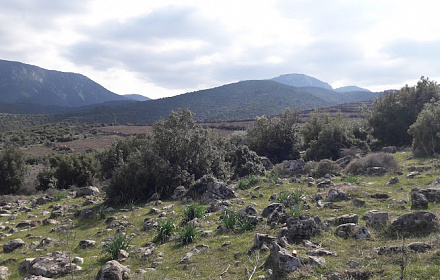 Mezquita Akgedik mahalla